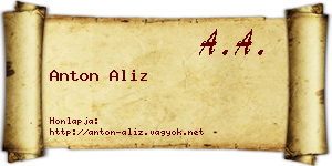 Anton Aliz névjegykártya